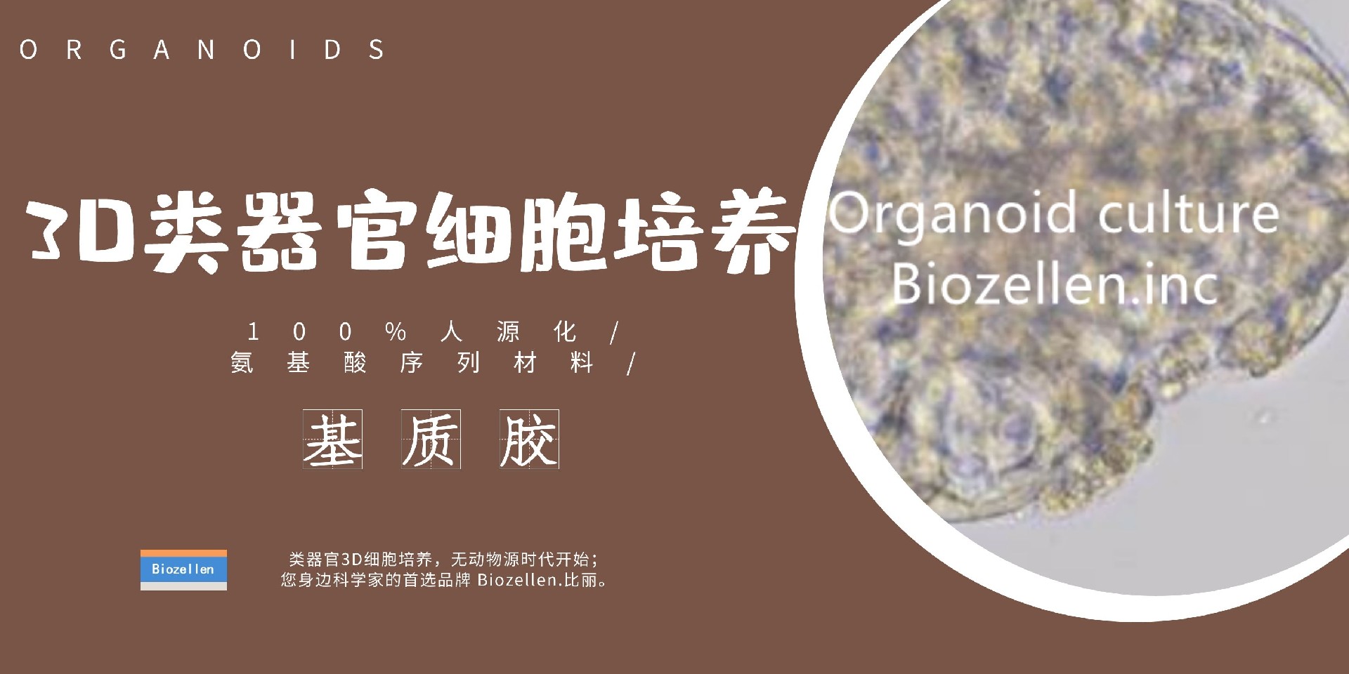 B-P-00003   Biozellen?3D類(lèi)器官培養基質(zhì)膠套裝 一.jpg