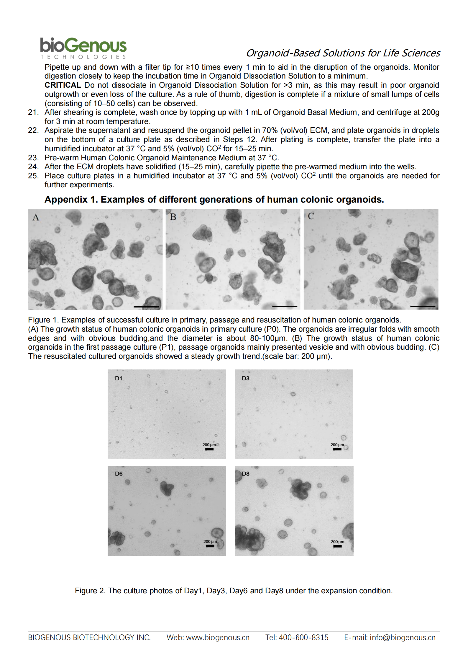 人結腸（無(wú)血清）-K2003-HC_02.png