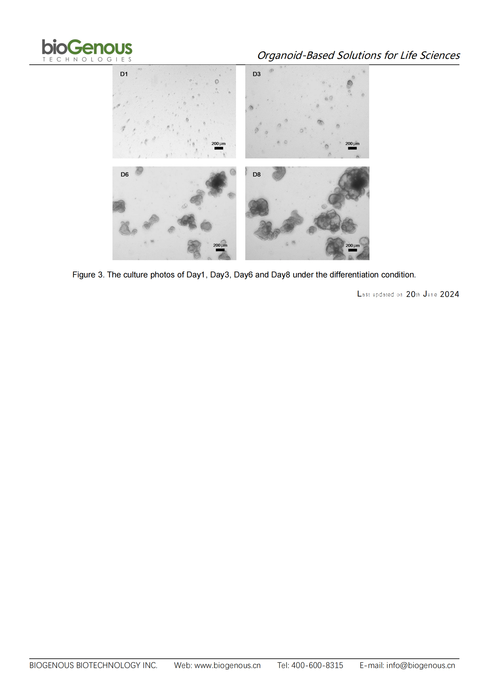 人結腸（無(wú)血清）-K2003-HC_03.png
